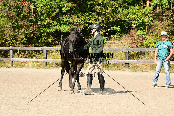 AJB_0397