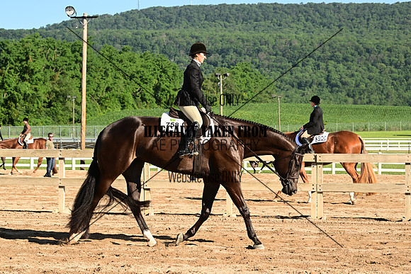 AJB_9984