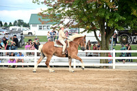 AJB_0670