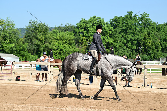 AJB_8934