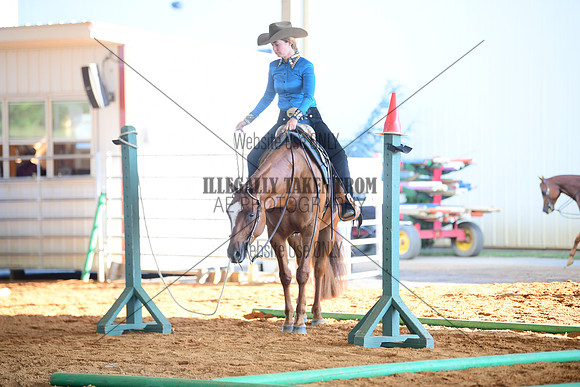 STE_1353
