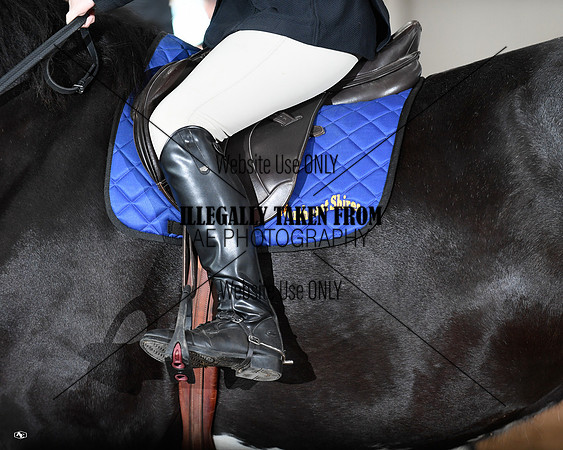 shires_6361
