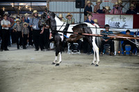 AJB_0961