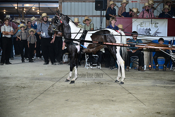 AJB_0961