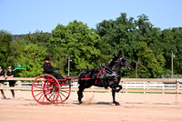 AJB_4470
