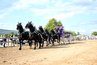 AJB_0463