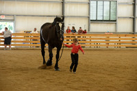 Jr. Youth Showmanship-9