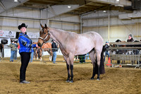 ASH_9390