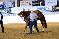 Aged Geldings