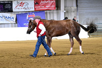 Amateur 2 Year Old