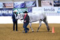 Amateur Aged Mares