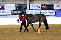 Amateur Performance Mares