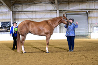 ASH_8923