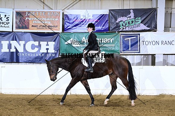 ASH_0196