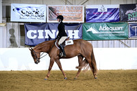 Level 1 Youth Hunter Under Saddle