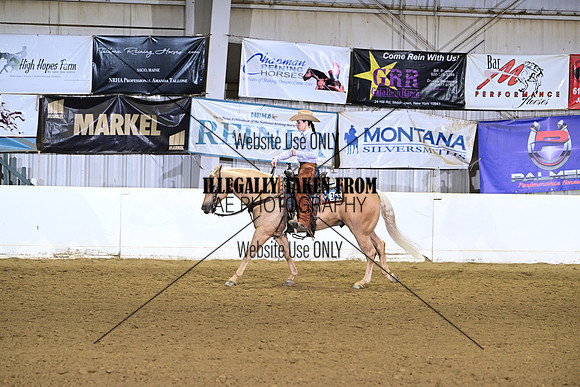 ASH_1527