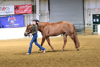 Youth Performance Mares