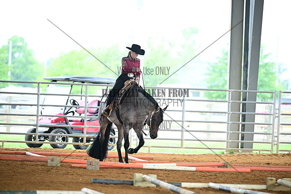 AJB_0984