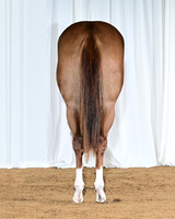 CookieRear_6659