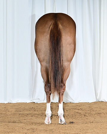 CookieRear_6659