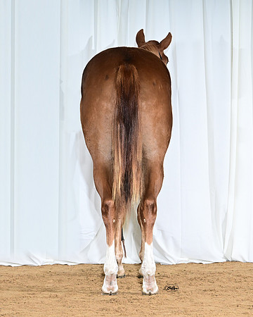 EllaRear_6720