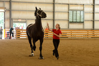 Sr. Youth Showmanship-1