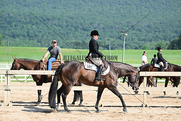 AJB_6591
