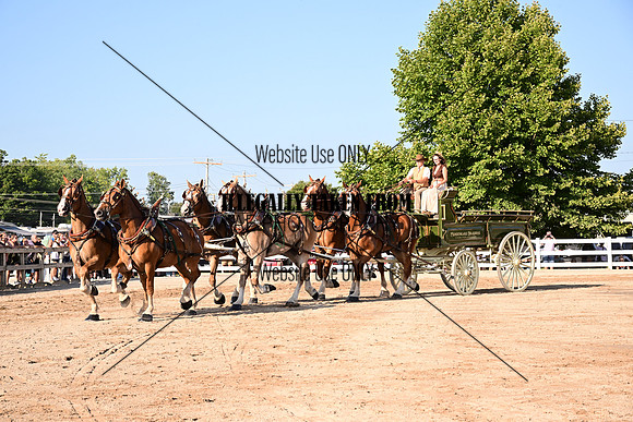 AJB_8054