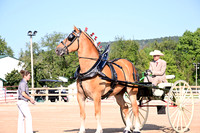AJB_4419