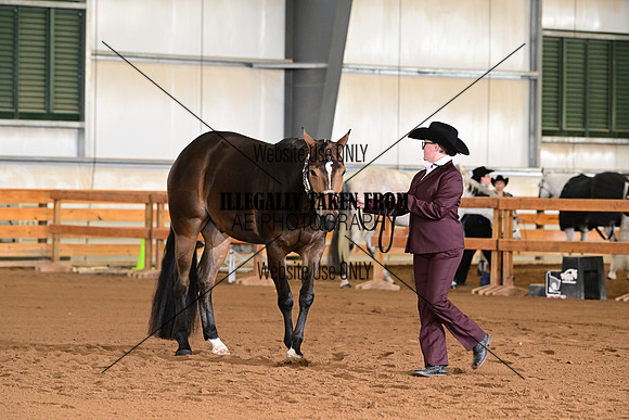 ASH_4549