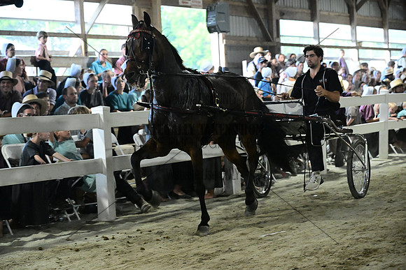 AJB_0707