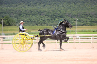 AJB_5027