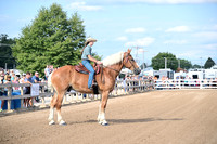 AJB_0371