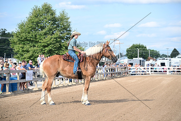AJB_0371