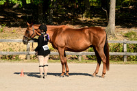 AJB_0398