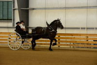 Sr. Youth Cart-12