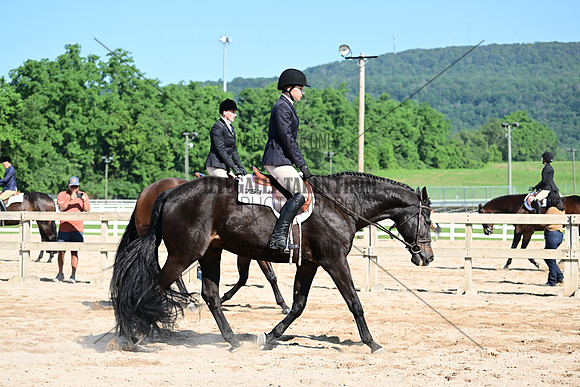 AJB_6553