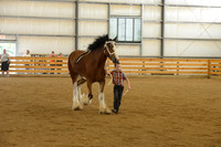 Jr. Youth Showmanship-5