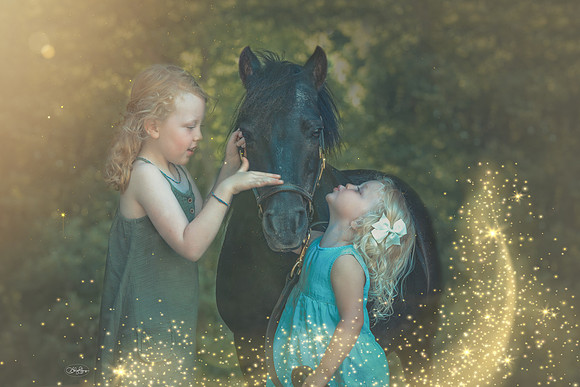 hanna_9837_fairy