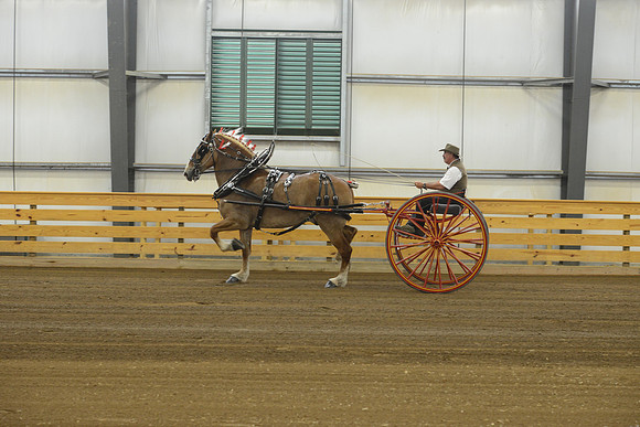 Thursday_cartclasses -3