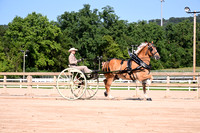 AJB_4620