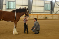 Jr. Youth Showmanship-7