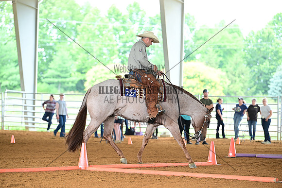 AJB_1177