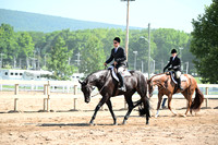 AJB_9096