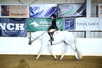 AJB_3308