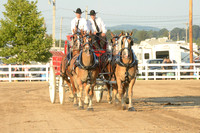 4-Horse Hitch Amateur/Youth Driver
