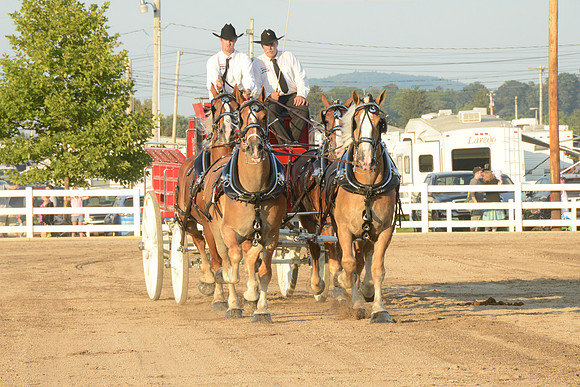 Four Horse Hitch_Amateur_youth-17