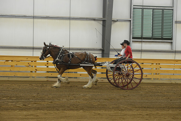 Men’s Cart_Clydesdales-4