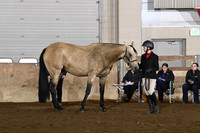 78 ABRA Walk Trot Showmanship 11-18