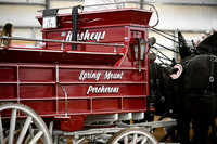Spring Mount Percherons